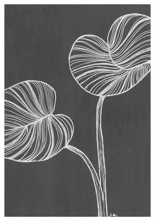 Philodendron BW - Agave Designs