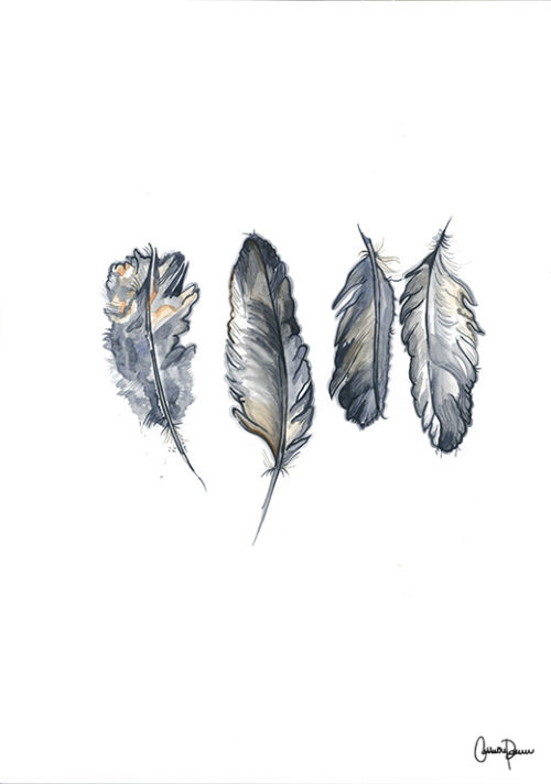 Four Feathers - Cathrine Doreen