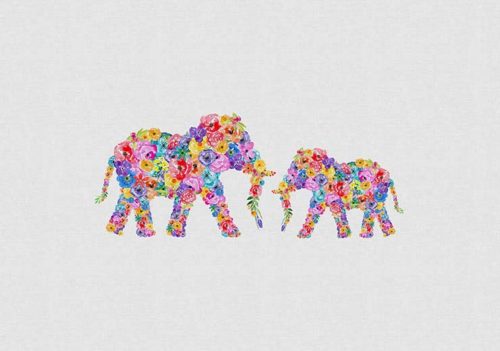 Floral Elephants - Orara Studio