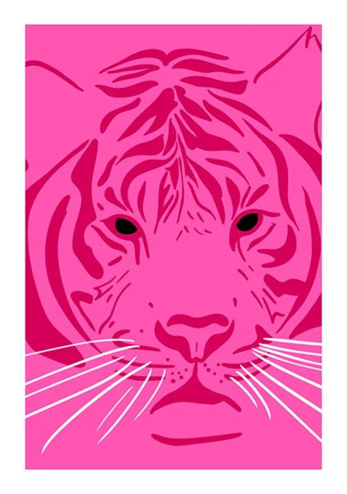 Pink Tiger - Athene Fritsch