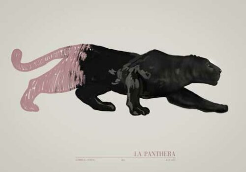 La Panthera Pink - Gabriella Roberg