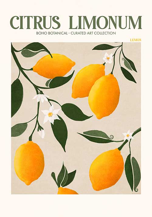 Citrus Limonum