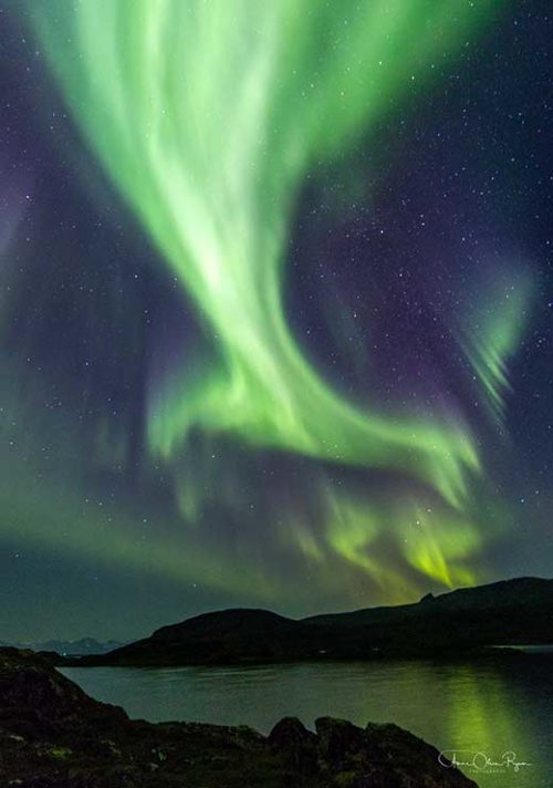 Northern Lights like a Claw - Anne Olsen-Ryum