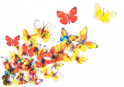 Butterflies - Turid T